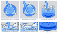 cellQART 24-Well Cell Culture Insert PET, 0.4um, Translucent, 48/pk