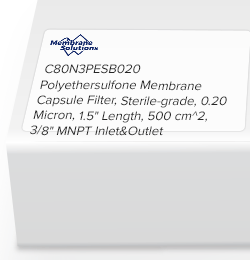 Polyethersulfone Membrane Capsule Filter, Sterile-grade, 0.20 Micron, 1.5" Length, 500 cm^2, 3/8" MNPT Inlet&Outlet
